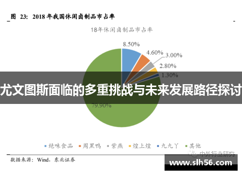 尤文图斯面临的多重挑战与未来发展路径探讨