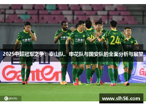2025中超冠军之争：泰山队、申花队与国安队的全面分析与展望