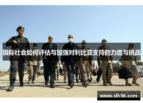 国际社会如何评估与加强对利比亚支持的力度与挑战
