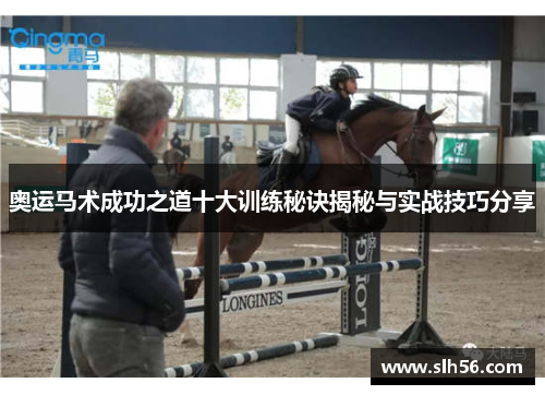 奥运马术成功之道十大训练秘诀揭秘与实战技巧分享