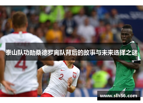 泰山队功勋桑德罗离队背后的故事与未来选择之谜 泰山队功勋桑德罗离队背后的故事与未来选择之谜