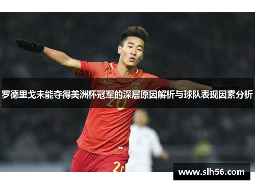 罗德里戈未能夺得美洲杯冠军的深层原因解析与球队表现因素分析