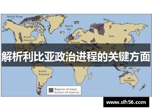 解析利比亚政治进程的关键方面 解析利比亚政治进程的关键方面